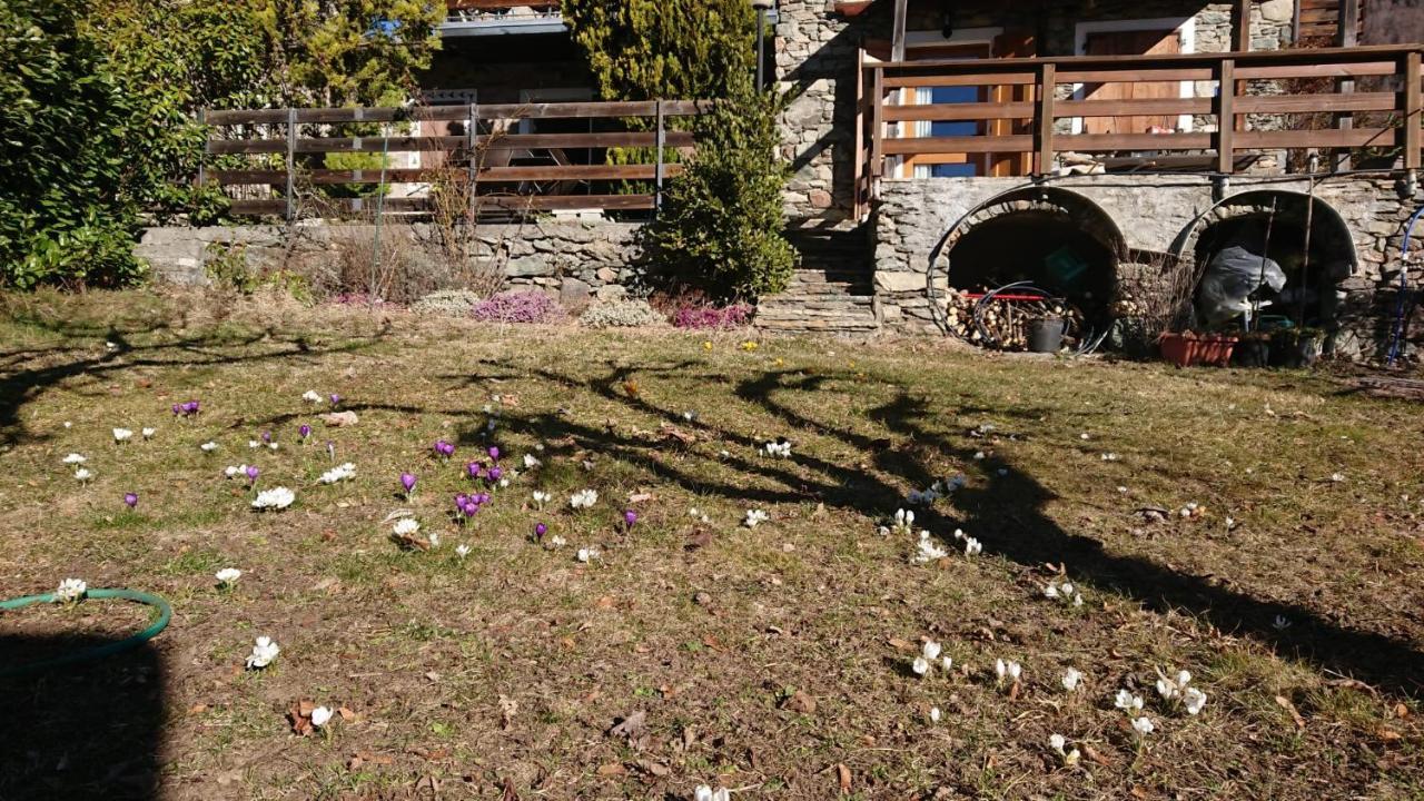Casa Delle Rose Βίλα Teglio Εξωτερικό φωτογραφία