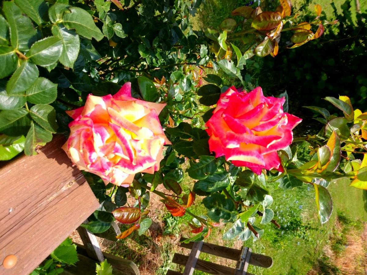 Casa Delle Rose Βίλα Teglio Εξωτερικό φωτογραφία